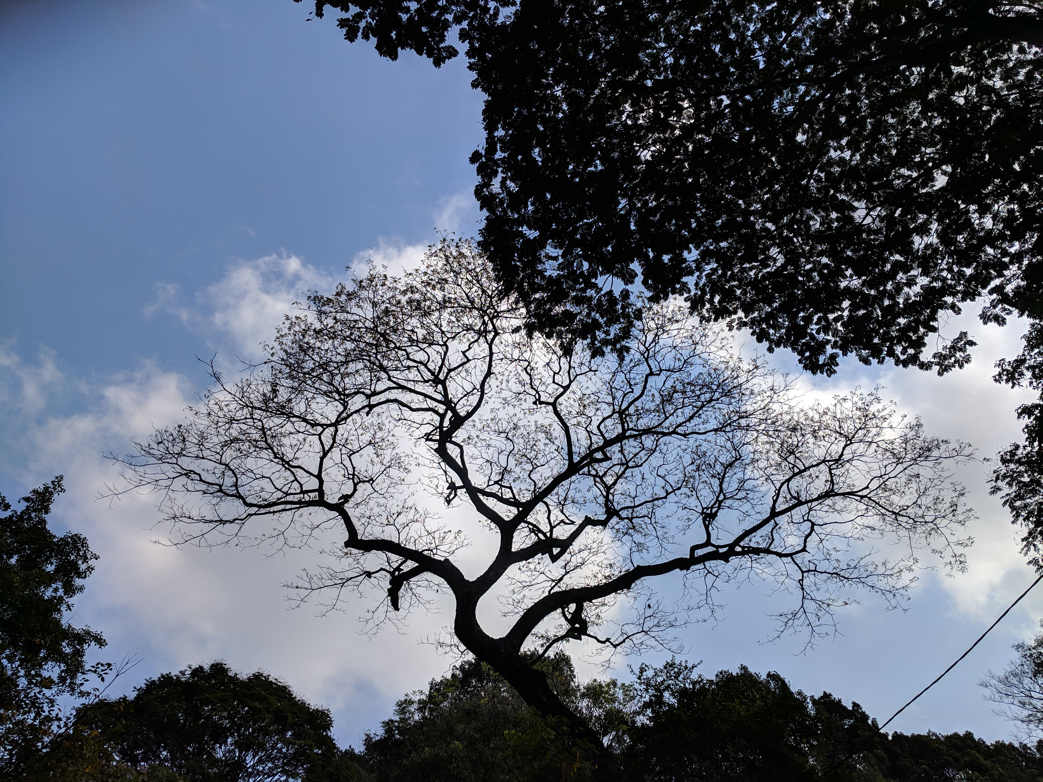 Đâu đó ở công viên Tao Đàn